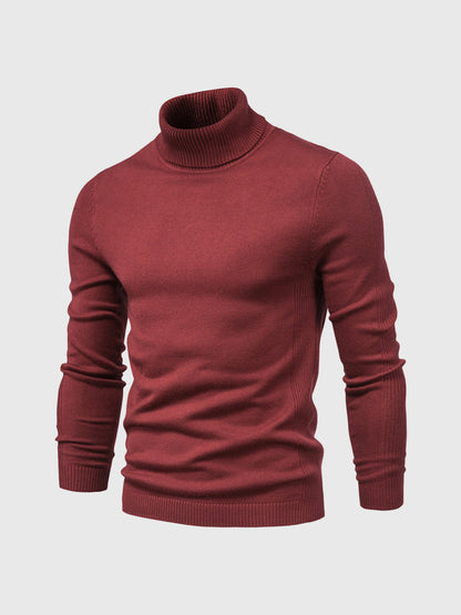 Pull col roulé homme lavable moderne élégant