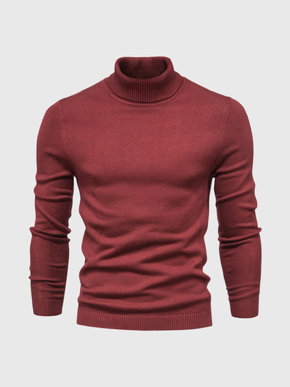 Pull col roulé homme lavable moderne élégant