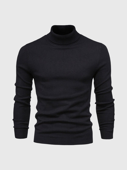 Pull col roulé homme lavable moderne élégant