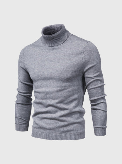 Pull col roulé homme lavable moderne élégant