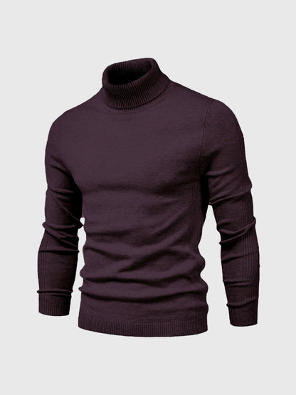 Pull col roulé homme lavable moderne élégant