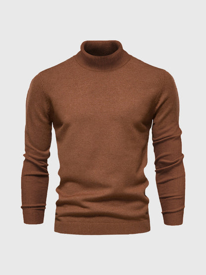 Pull col roulé homme lavable moderne élégant