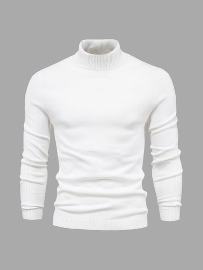 Pull col roulé homme lavable moderne élégant