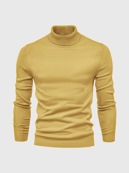 Pull col roulé homme lavable moderne élégant